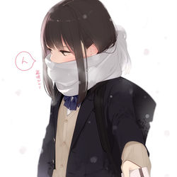 This is a pixiv picture whose title is 半分嘘.