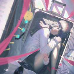 This is a pixiv picture whose title is 箱入り.
