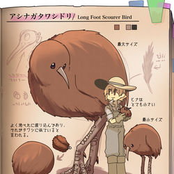This is a pixiv picture whose title is 【PFMOH】アシナガタワシドリ【モンスター】.