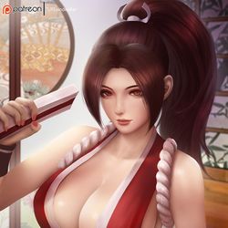 This is a pixiv picture whose title is Mai Shiranui ！.