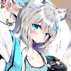 This is a pixiv picture whose title is シロコちゃん.