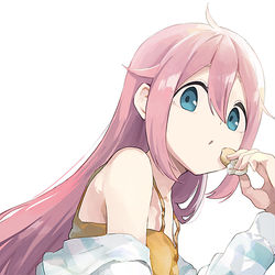 This is a pixiv picture whose title is 各務原なでしこ.