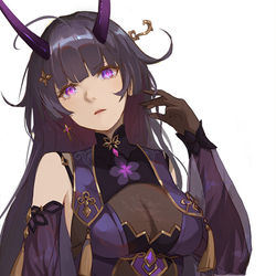 This is a pixiv picture whose title is 雷之律者.