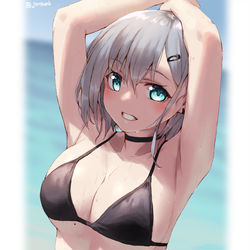 This is a pixiv picture whose title is 銀髪水着.