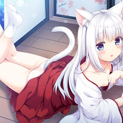 This is a pixiv picture whose title is ねこみみ巫女.