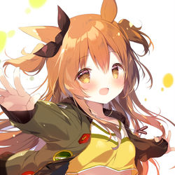 This is a pixiv picture whose title is マヤノトップガン🐎.