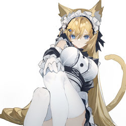 This is a pixiv picture whose title is 花园猫猫.