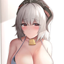 This is a pixiv picture whose title is 乳ニュルンベルク.