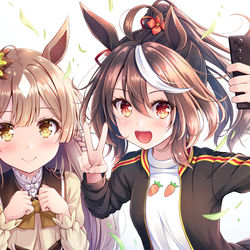 This is a pixiv picture whose title is キタサンブラック&サトノダイヤモンド.