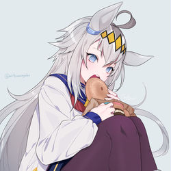This is a pixiv picture whose title is オグリ.