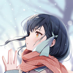 This is a pixiv picture whose title is 雪の華.