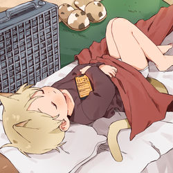 This is a pixiv picture whose title is A small nap! :>.