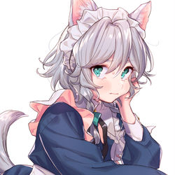 This is a pixiv picture whose title is 🐺.