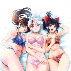 This is a pixiv picture whose title is ブラの夜叉姫.