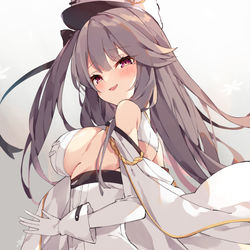 This is a pixiv picture whose title is パーミャチ改造きねん.