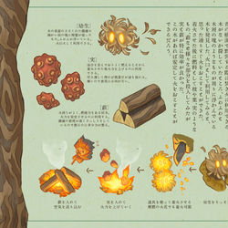 This is a pixiv picture whose title is 【PFMOH】冒険者の手記「ヘヴンの植物とその利用方法について」.