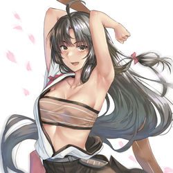 This is a pixiv picture whose title is 祥鳳.