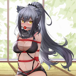 This is a pixiv picture whose title is シュヴァルツ.