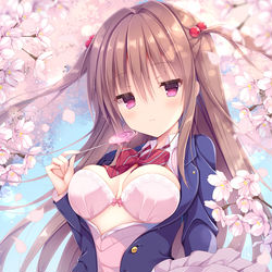 This is a pixiv picture whose title is sakura.