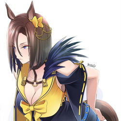 This is a pixiv picture whose title is エアグルーヴ.