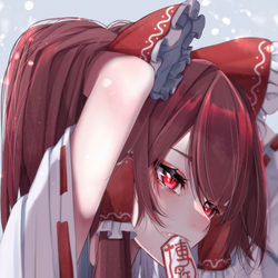 This is a pixiv picture whose title is 博麗霊夢.