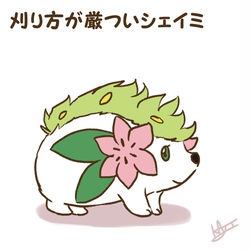 This is a pixiv picture whose title is ポケログ【ひゃくじゅうよん】.