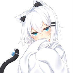 This is a pixiv picture whose title is ねこいちる.