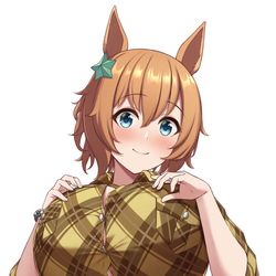 This is a pixiv picture whose title is タイキシャトル私服.