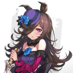This is a pixiv picture whose title is ライスシャワー.