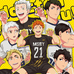 This is a pixiv picture whose title is 【RTS!!31新刊②】BJAD日向本.