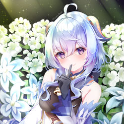 This is a pixiv picture whose title is ❄️甘雨ちゃん.