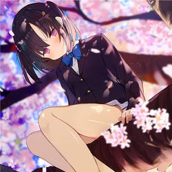 This is a pixiv picture whose title is 桜とナマアシ.