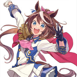 This is a pixiv picture whose title is トウカイテイオー.