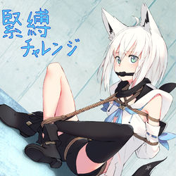 This is a pixiv picture whose title is 白上フブキ.