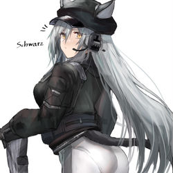 This is a pixiv picture whose title is シュヴァルツ.