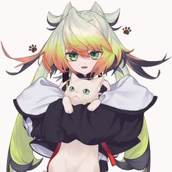 This is a pixiv picture whose title is 🐈.