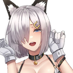 This is a pixiv picture whose title is 浜風ニャン.