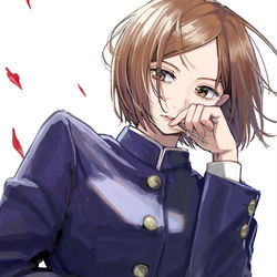 This is a pixiv picture whose title is 釘崎.