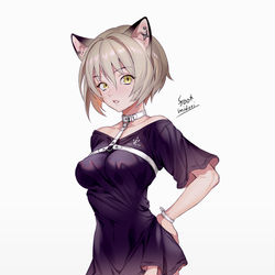 This is a pixiv picture whose title is ねこハーネススニーカー.