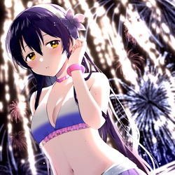 This is a pixiv picture whose title is 海未ちゃんおめでとう.