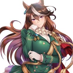 This is a pixiv picture whose title is シンボリルドルフ.