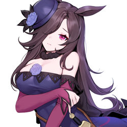 This is a pixiv picture whose title is ライスシャワー.