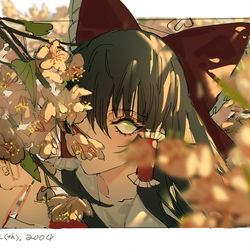This is a pixiv picture whose title is 愛しいあなた。.