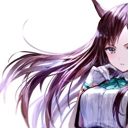 This is a pixiv picture whose title is メジロドーベル.