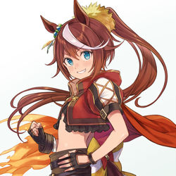 This is a pixiv picture whose title is トウカイテイオー.