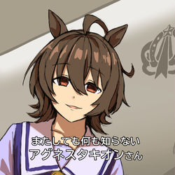 This is a pixiv picture whose title is 大泉タキオン.