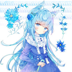 This is a pixiv picture whose title is 青い花.
