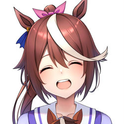 This is a pixiv picture whose title is トウカイテイオー.