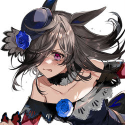 This is a pixiv picture whose title is ライスシャワー.