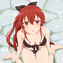 This is a pixiv picture whose title is エリス.